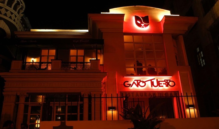 gato tuerto | Hostal Peregrino